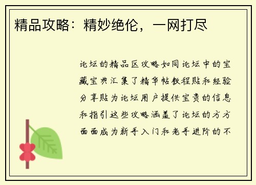 精品攻略：精妙绝伦，一网打尽